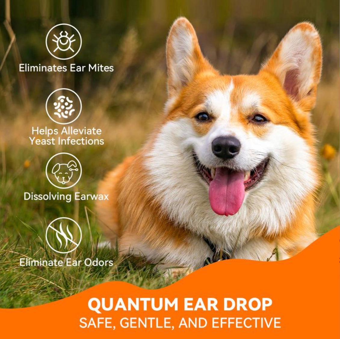 LYMARA Pet Ear Relief Drops